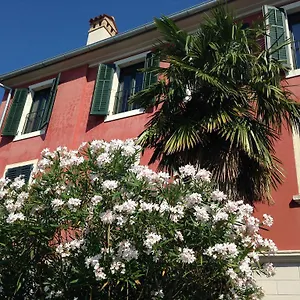 Rovinj's Flowers Rovinj